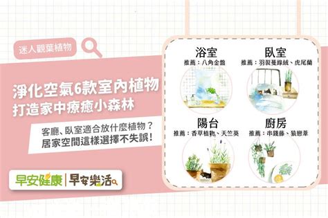 客廳綠色植物|客廳、臥室適合放什麼植物？淨化空氣6款室內植物推薦，打造家。